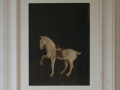 29-cavallo